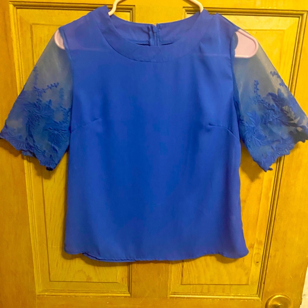 Lace Sleeve Dress Top